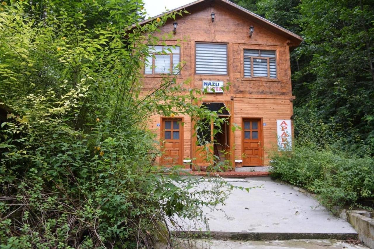 Ayder Nazli Cicek Apart Exterior photo