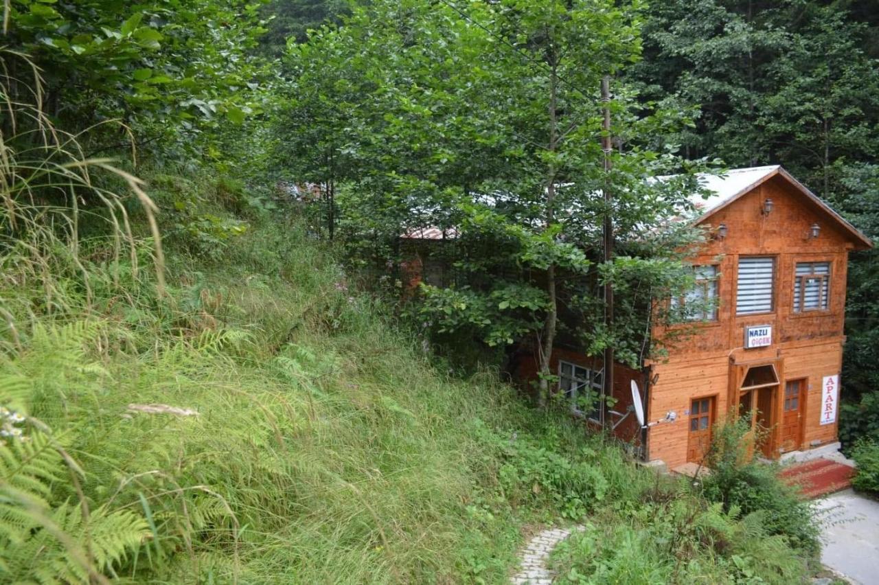 Ayder Nazli Cicek Apart Exterior photo