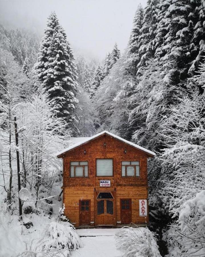 Ayder Nazli Cicek Apart Exterior photo
